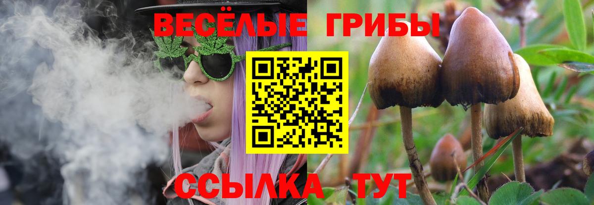 Псилоцибиновые грибы прущие грибы  где продают наркотики  Саранск  Вход с VPN 
